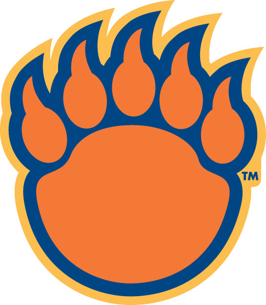 Morgan State Bears 2002-Pres Alternate Logo diy DTF decal sticker